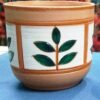 Terracotta Cactus Pot