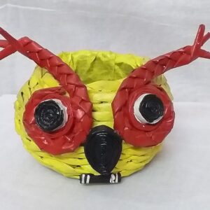 Owl Face Open Paper Box