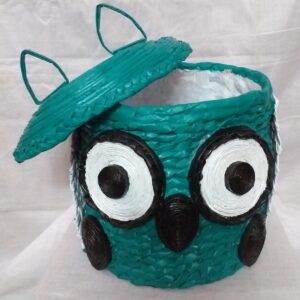 Owl Shape Color Full Box