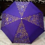 Designer Umbrella Hand Painted