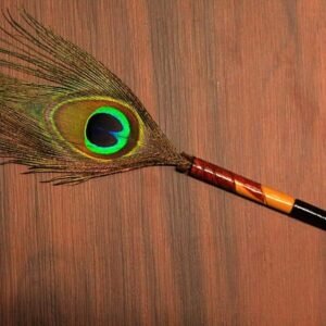Designer Peacock Feather Nib Pen