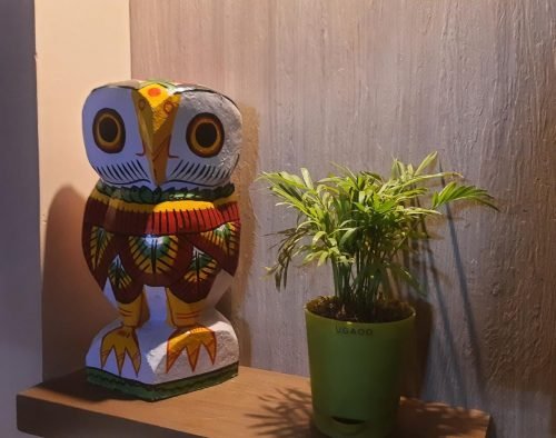 Hand Painted Wooden Owl photo review