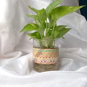 Handmade painted water Hyacinth glass flower / plant vase