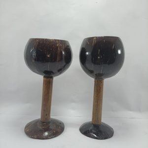 Coconut Shell Juice Glass Pack Of 2