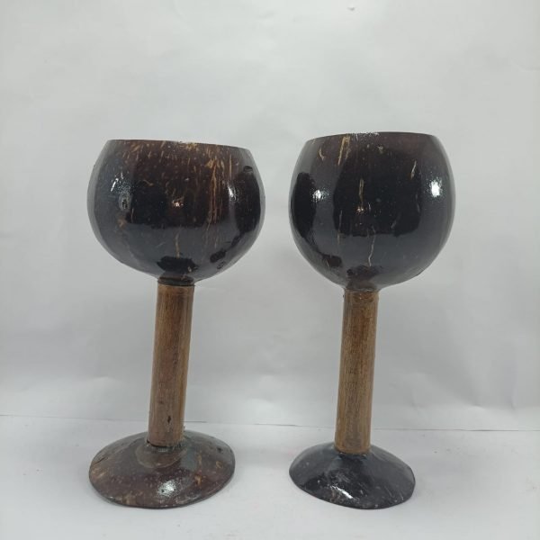Coconut Shell Juice Glass Pack Of 2