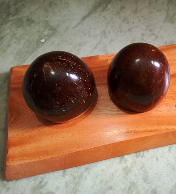 Coconut Shell Paper Weight