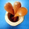 Sonajhuri Wood Spoon Holder Set of Four