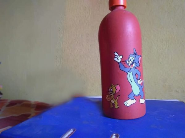 Terracotta Tom& Jerry Hand Painted Water Bottle