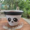 Panda Leaf Pained Flower Planter