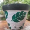 Panda Leaf Pained Flower Planter