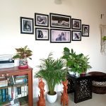 Bankura Special Terracotta Designer Horse Pair photo review