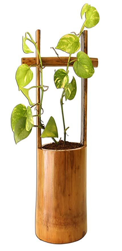 Bamboo Table Pot Planter